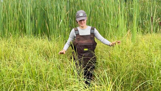 “Manitoba’s Prairie Pothole Marshes Face Monitoring Gap”