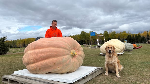 “Ontario Grower Disqualified Over Small Pumpkin Imperfection”