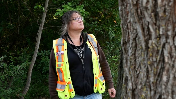 “Deadly Dutch Elm Disease Threatens Alberta’s Urban Forest”