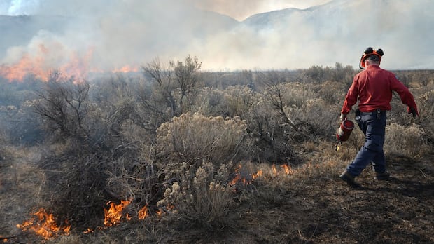 “Kimberley City Secures Funding for Wildfire-Water Study”